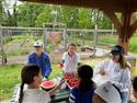 IMG_4582(2)-5